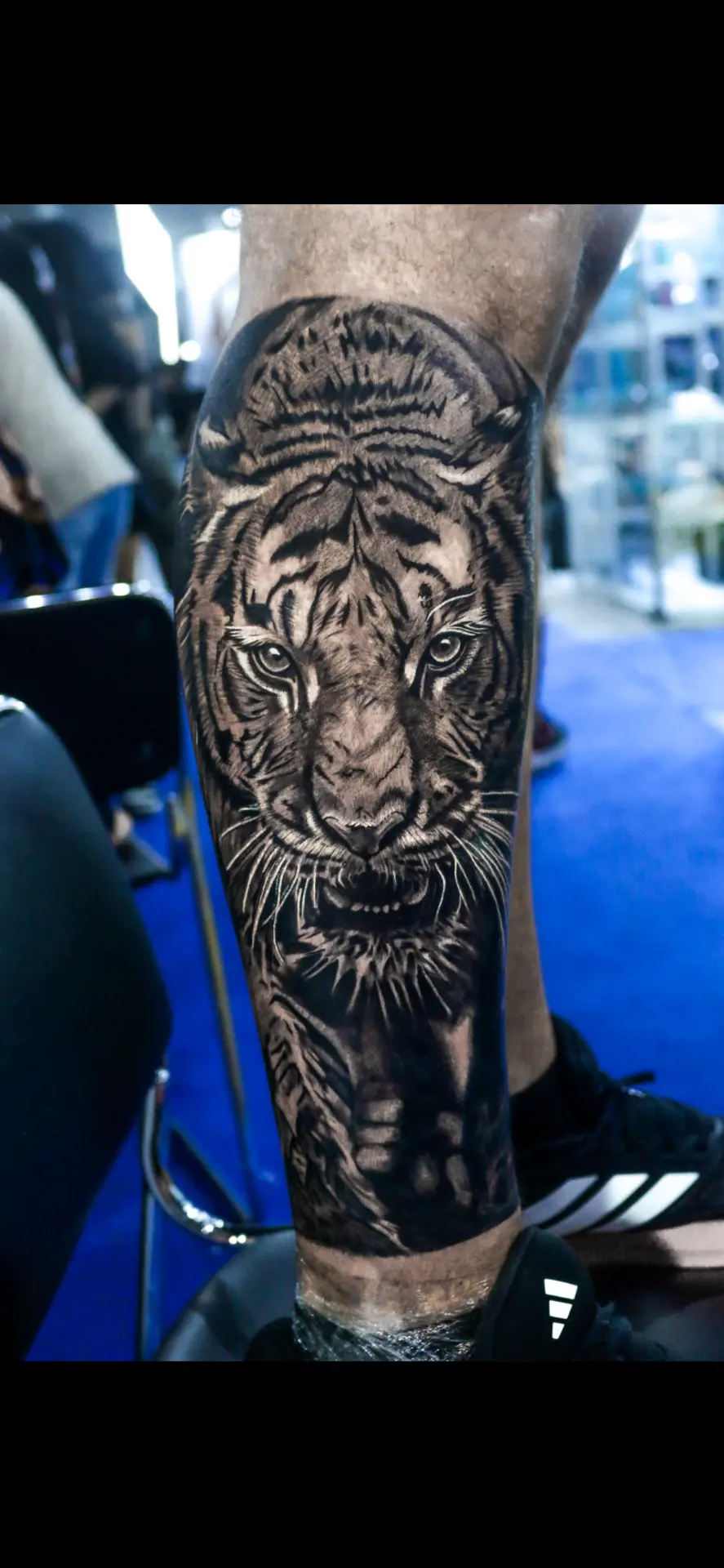 Tigre na Panturrilha